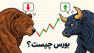Bear, Bull, and Market Moves
