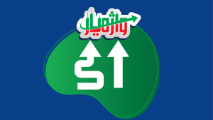سرمایه‌گذاری غیرمستقیم
