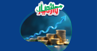 سرمایه‌گذاری مستقیم
