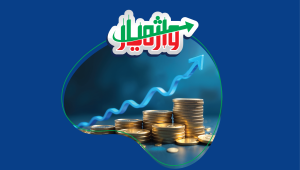 سرمایه‌گذاری مستقیم